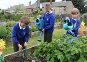Our children watering our vegetable garden